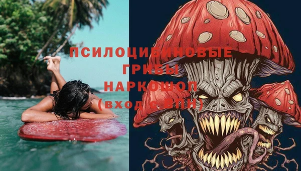 spice Балахна