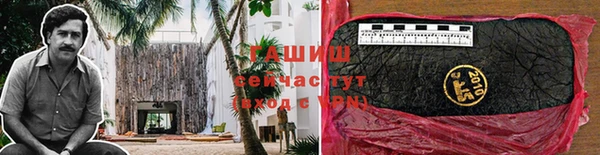 крисы Баксан